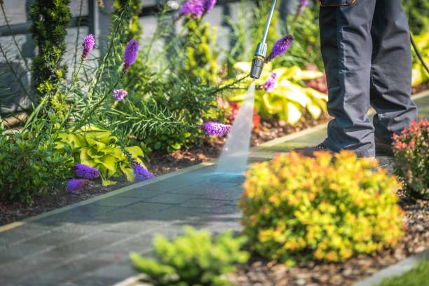 Best Parking Lot Cleaning in China Grove, NC